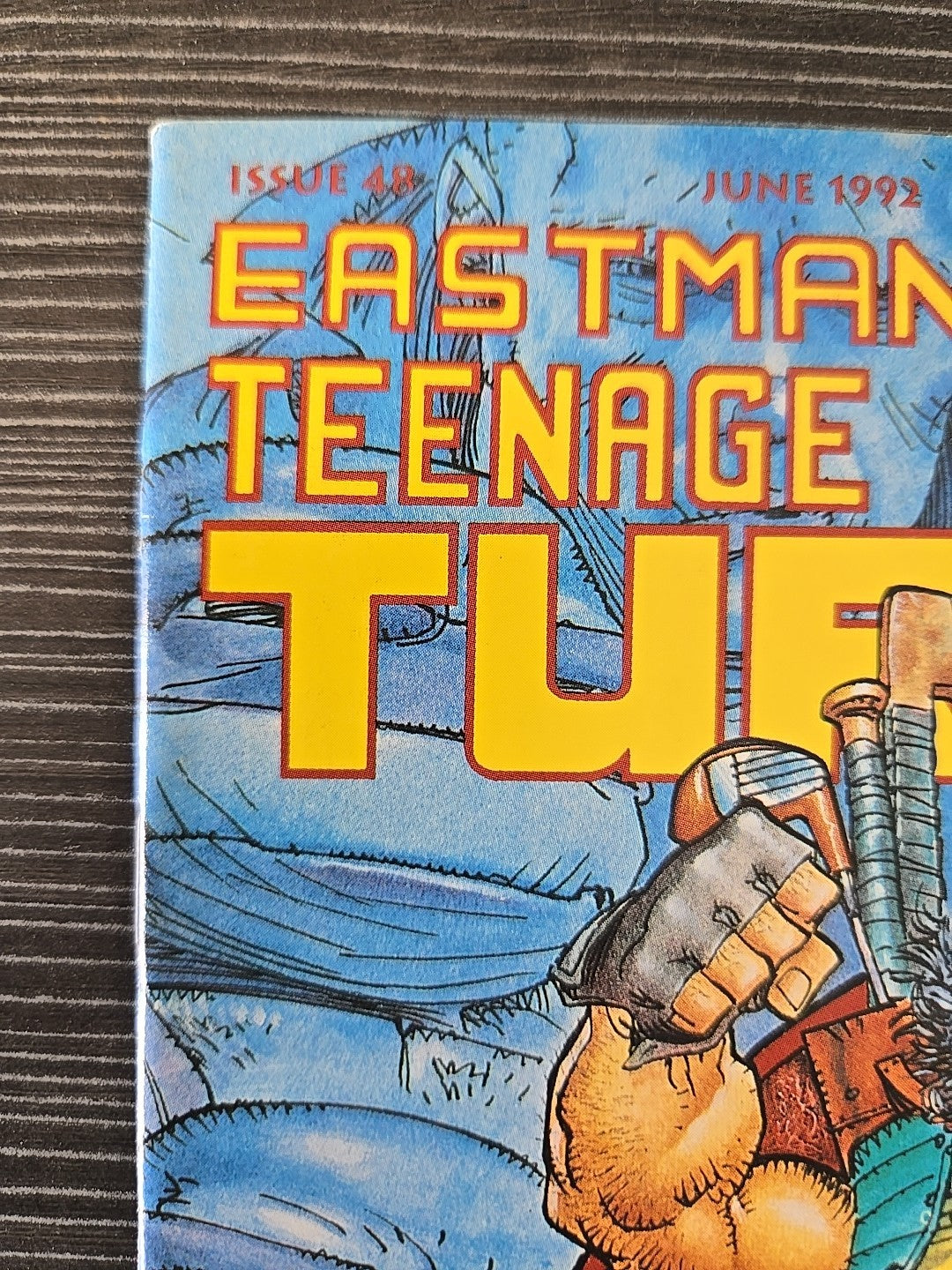Teenage Mutant Ninja Turtles, Vol. 1 #48. NM.
