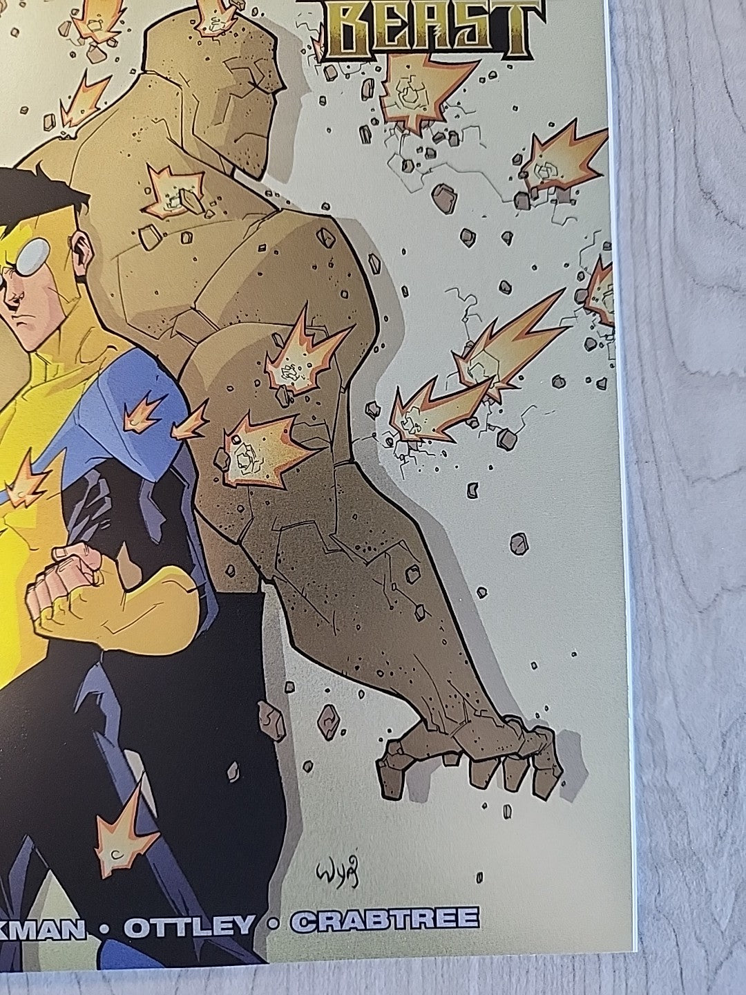 INVINCIBLE #19 FOIL VARIANT Battle Beast Blind Bag Secret Reprint NM