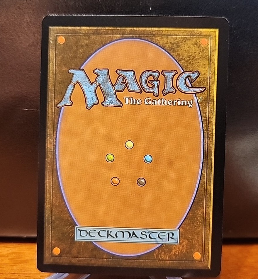MTG Adarkar Wastes (Borderless) Dominaria United 377 Rare English
