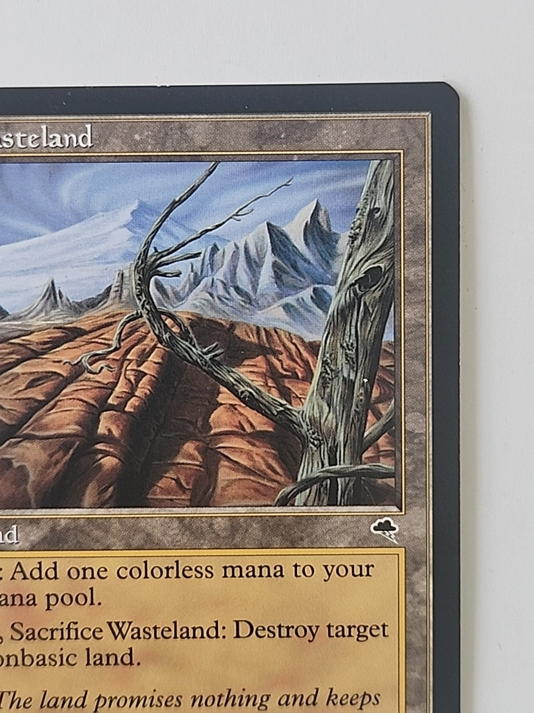 MTG Wasteland Tempest Regular English LP/NM