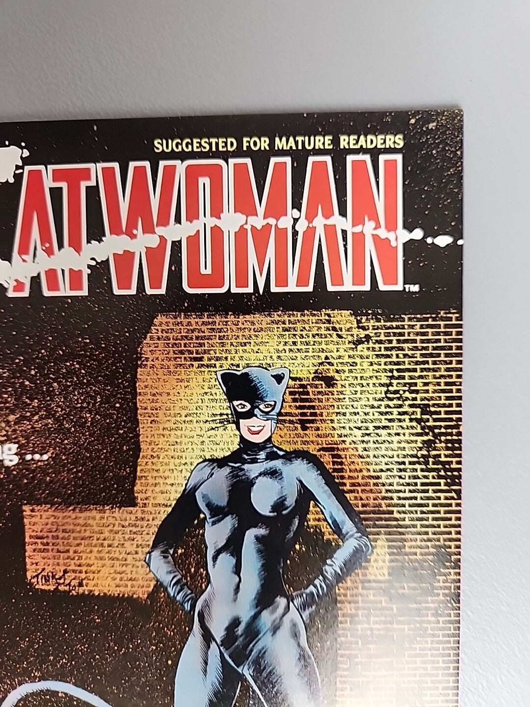 CATWOMAN #1 #2 #3 #4MINDY NEWELL 1-4 Complete Set 1989 DC Comics Batman VF