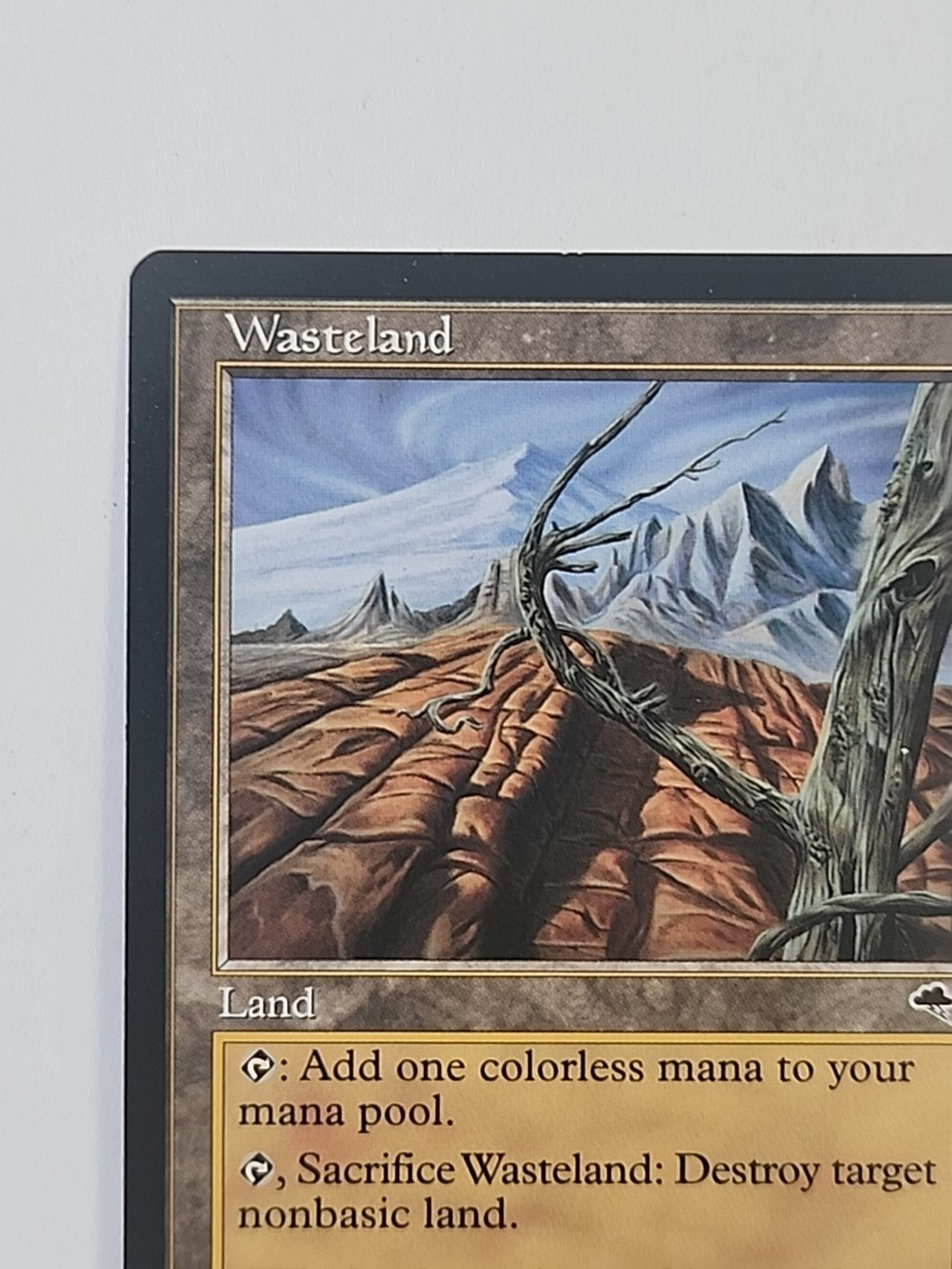 MTG Wasteland Tempest Regular English LP/NM