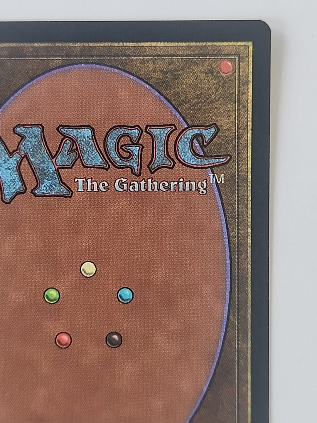 MTG Wasteland Tempest Regular English LP/NM