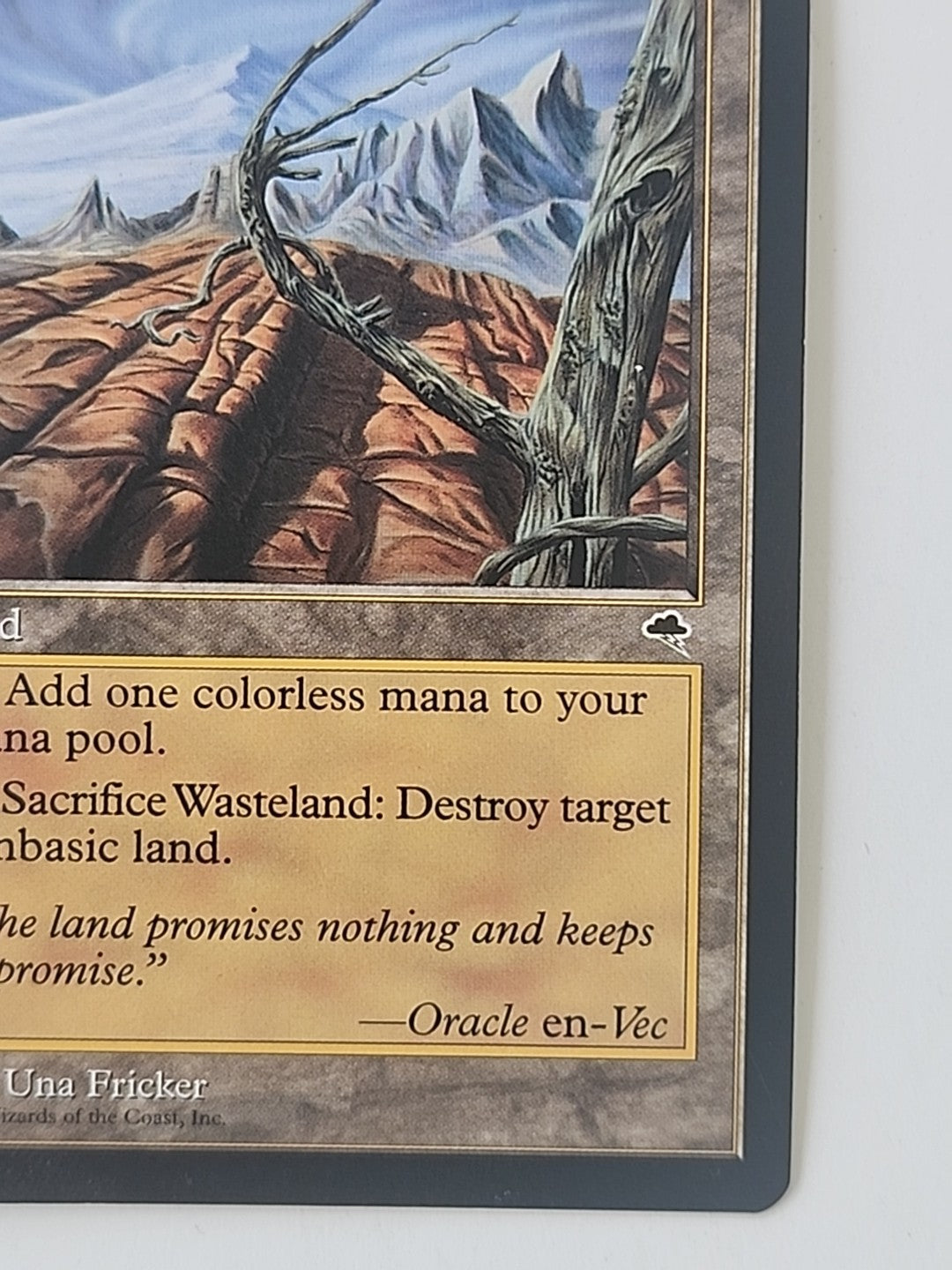 MTG Wasteland Tempest Regular English LP/NM