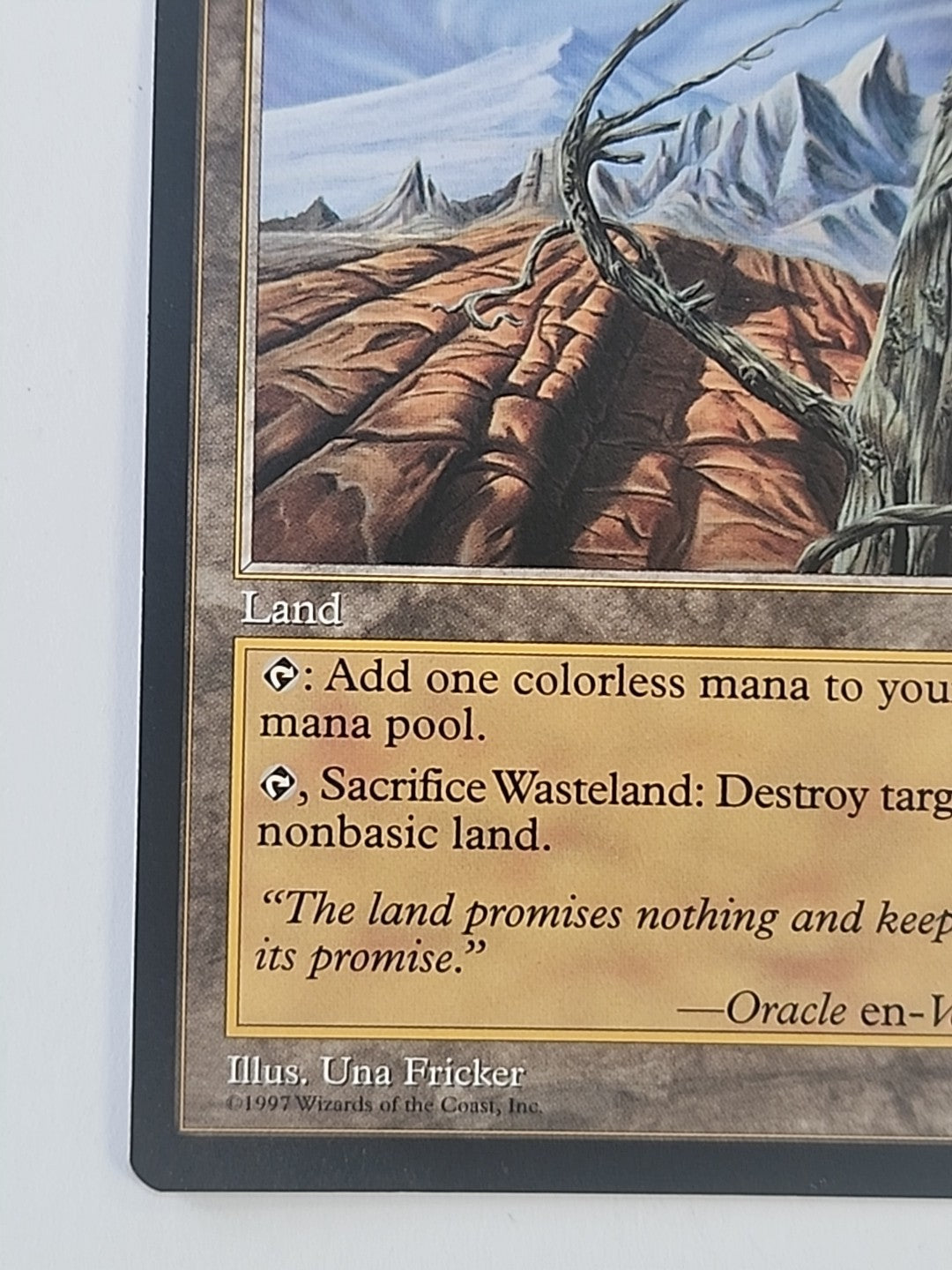 MTG Wasteland Tempest Regular English LP/NM