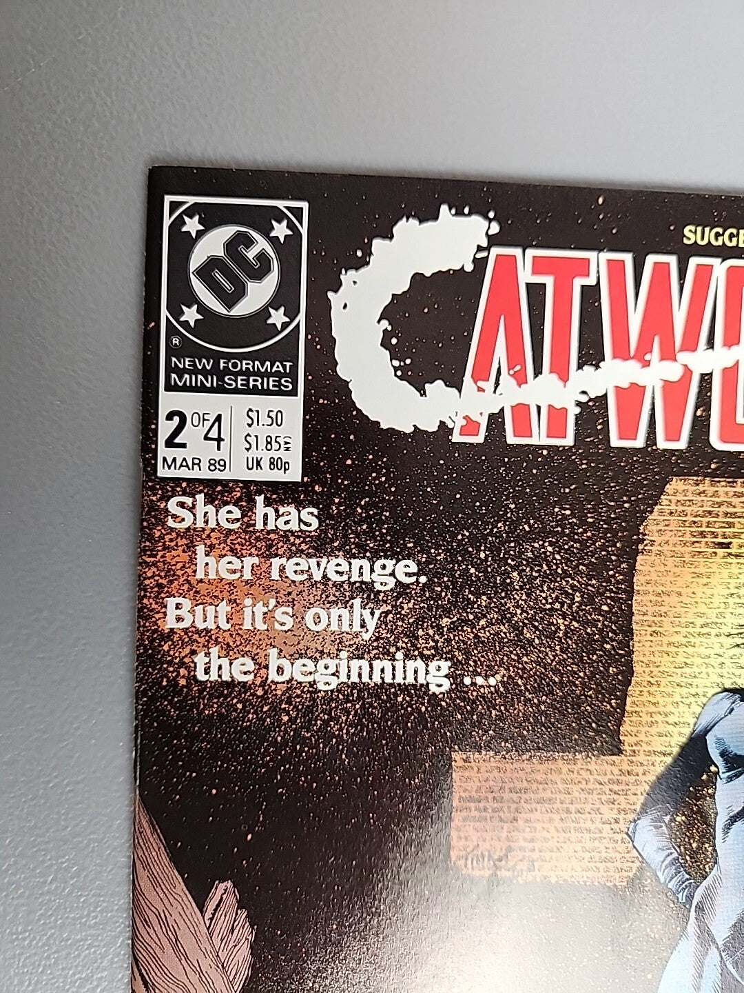 CATWOMAN #1 #2 #3 #4MINDY NEWELL 1-4 Complete Set 1989 DC Comics Batman VF