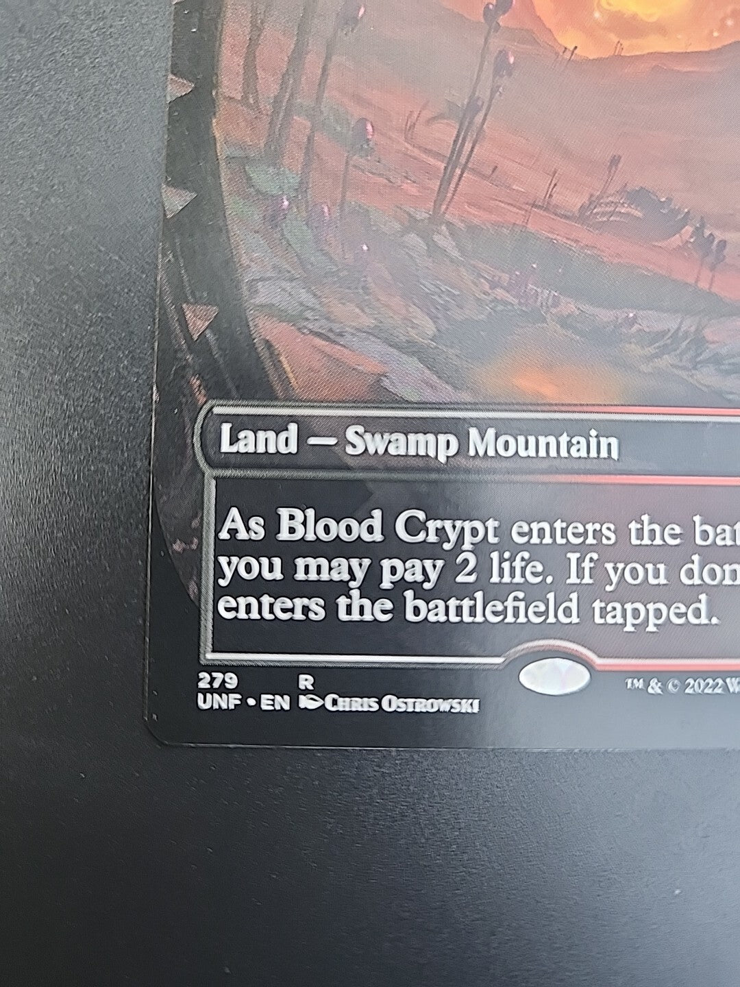 MTG Blood Crypt (Borderless) Non-Foil Unfinity 279 NM English Magic Rare Land