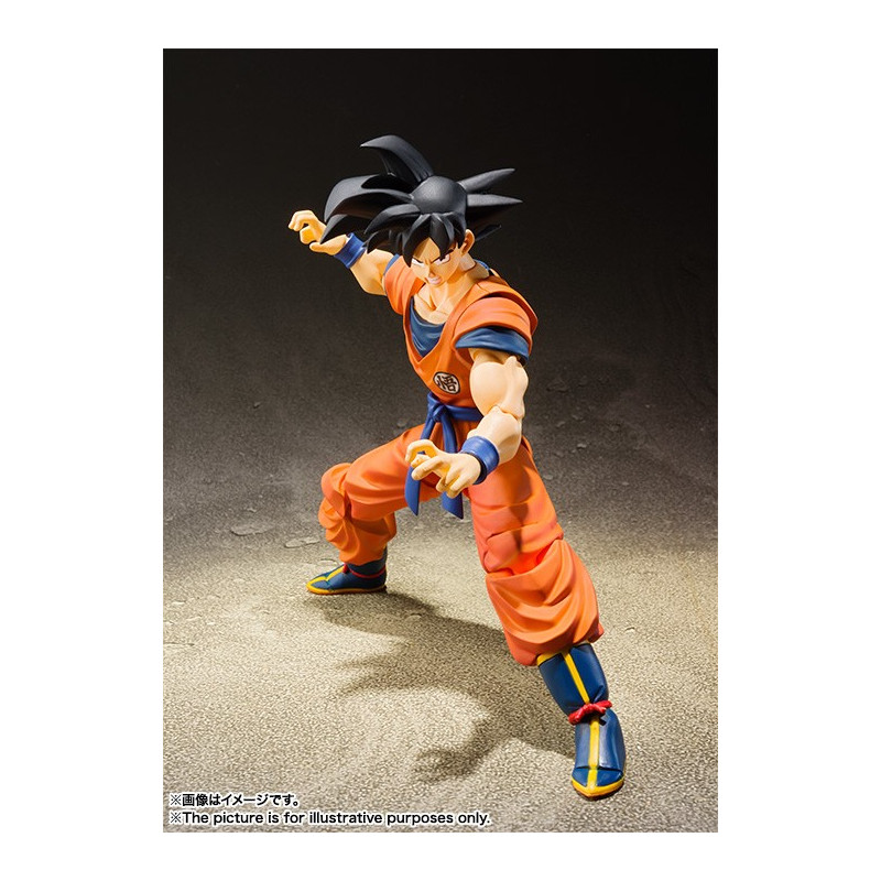 S.H.FIGUARTS SON GOKU A SAIYAN RAISED ON EARTH