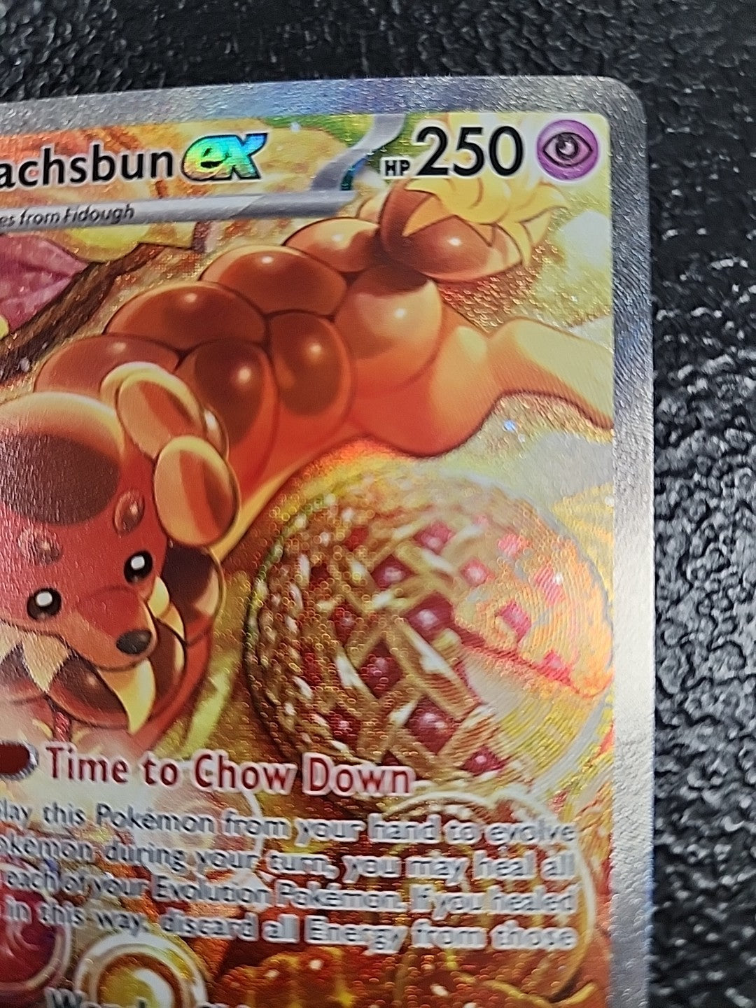 Dachsbun EX 169/142 NM EN Pokémon SCR Stellar Crown Special Illustration Rare