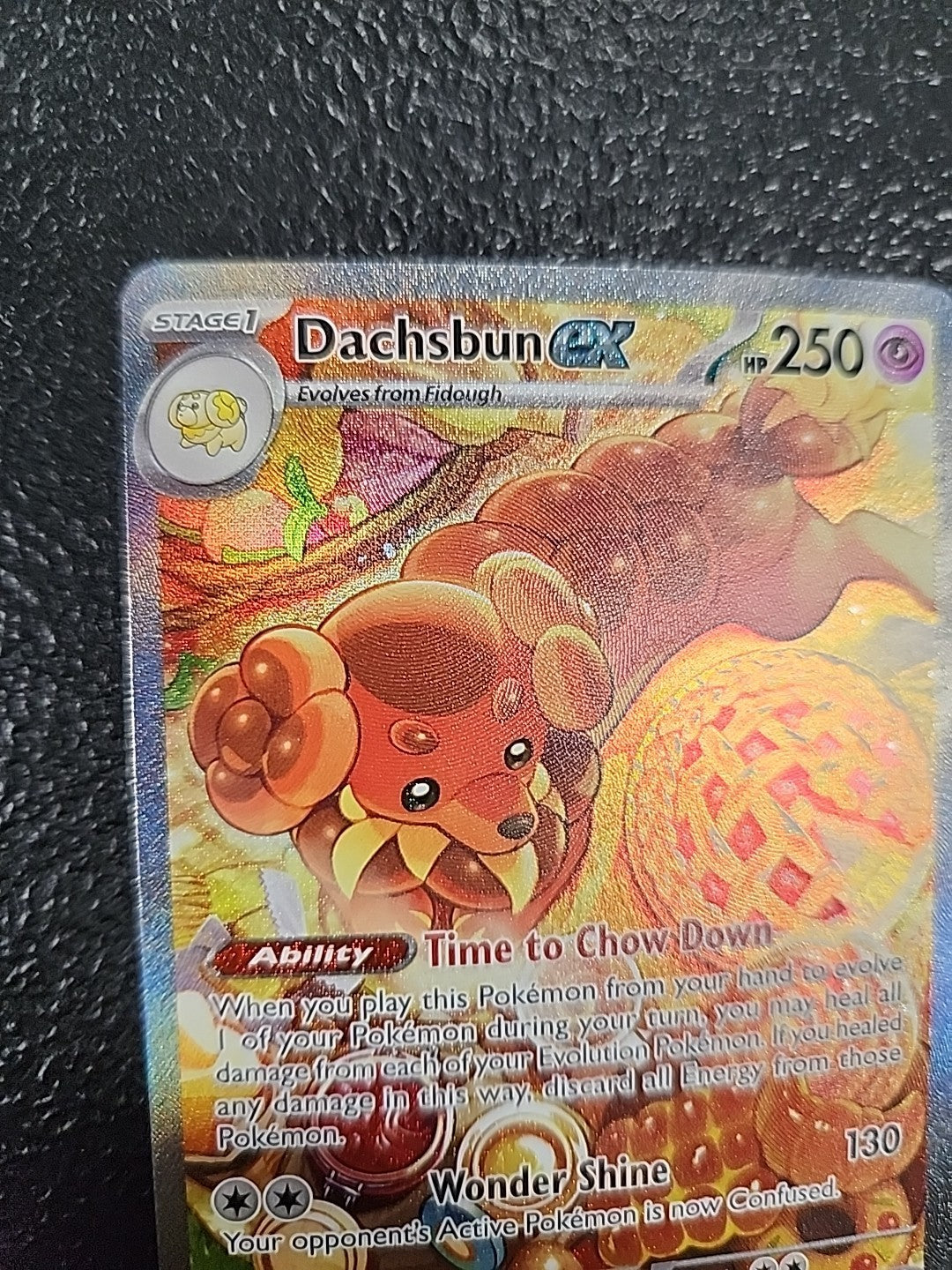 Dachsbun EX 169/142 NM EN Pokémon SCR Stellar Crown Special Illustration Rare
