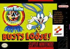 SNES TINY TOON ADVENTURES BUSTER BUSTS LOOSE