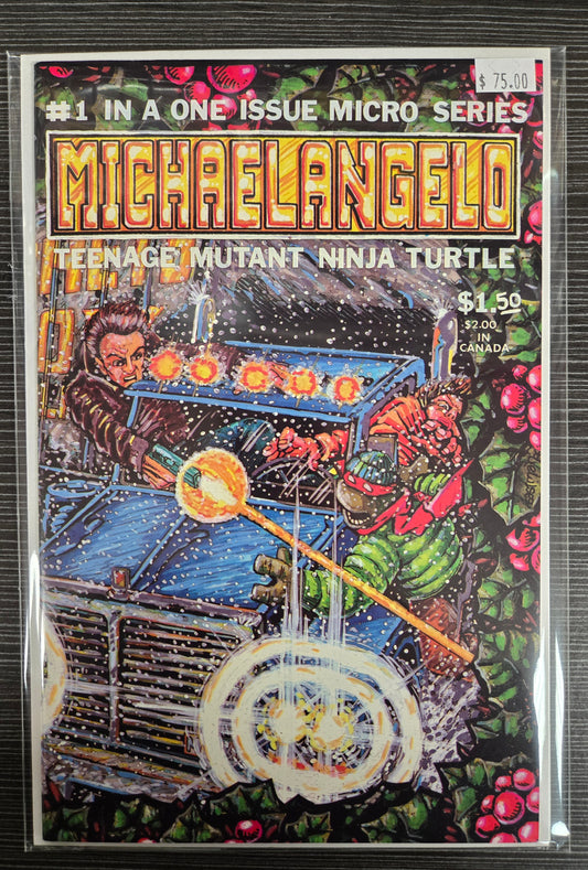 Michaelangelo #1