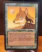 MTG Wyluli Wolf Arabian Nights  LP Magic The Gathering 