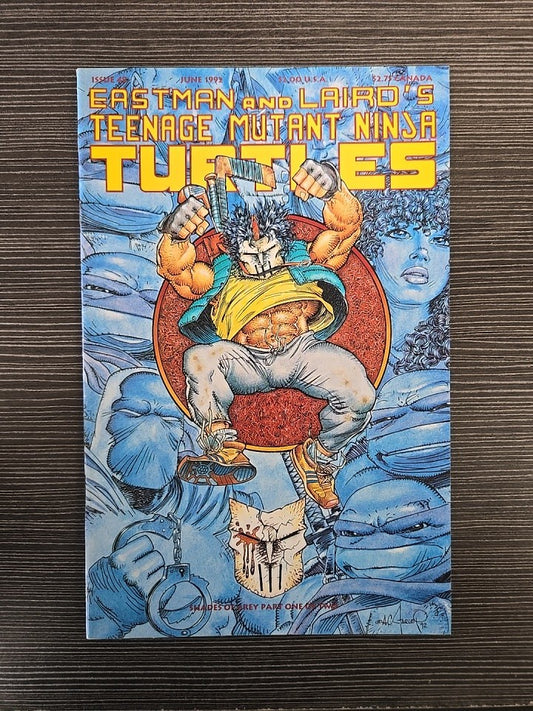 Teenage Mutant Ninja Turtles, Vol. 1 #48. NM. 
