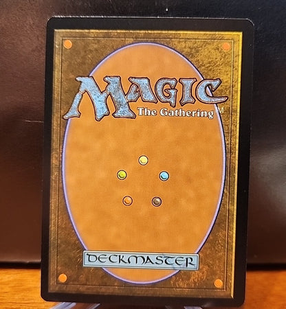 MTG Adarkar Wastes (Borderless)  Dominaria United 377 Rare English