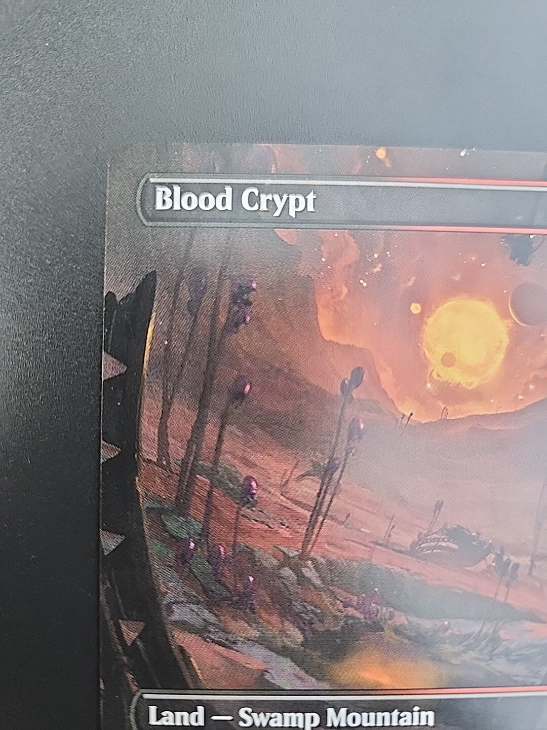 MTG Blood Crypt (Borderless) Non-Foil Unfinity 279 NM English Magic Rare Land