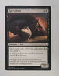 MTG Rat Colony DOM 101/269 Regular NM Magic The Gathering Common