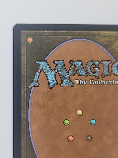 Magic The Gathering  Unfinity Swamp Borderless Galaxy Foil MTG
