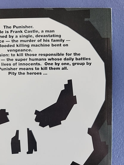 Punisher Kills the Marvel Universe 1 Marvel 1995 First Printing High Grade