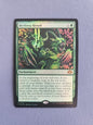 MTG FOIL Birthing Ritual Modern Horizons 3 MH3 Mythic 146 N/NM Prerelease Promo