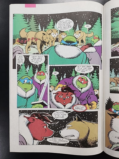 TEENAGE MUTANT NINJA TURTLES ADVENTURES #67 (NM) Archie Comics 1995 Moon Eyes 