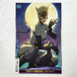 Catwoman #14 Artgerm Variant DC Comics VF/NM 
