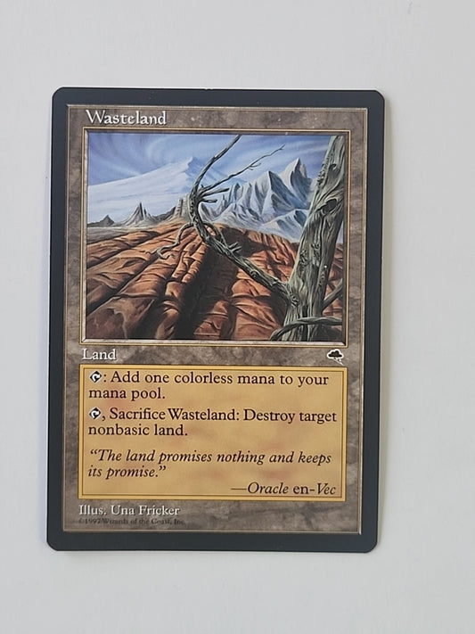MTG Wasteland Tempest Regular English LP/NM