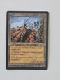 MTG Wasteland Tempest Regular English LP/NM