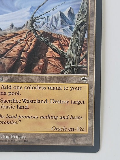 MTG Wasteland Tempest Regular English LP/NM