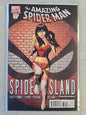 Amazing Spider-Man #671 (2011) Mary Jane Marvel Comics VF/NM 