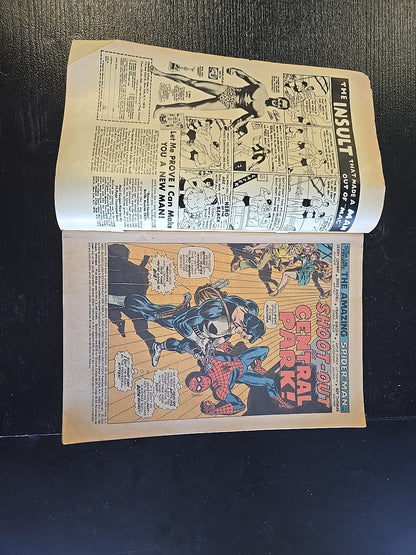 Amazing Spider-Man #135 Marvel Comics 1974 3rd Punisher - Key Comic