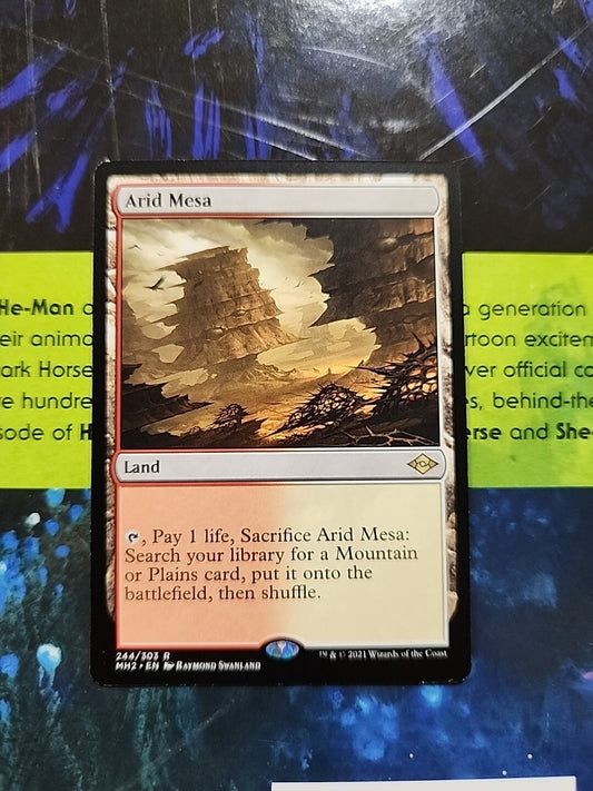 MTG Arid Mesa 244 Rare Modern Horizons 2 MH2 English Regular Non-foil Magic NM
