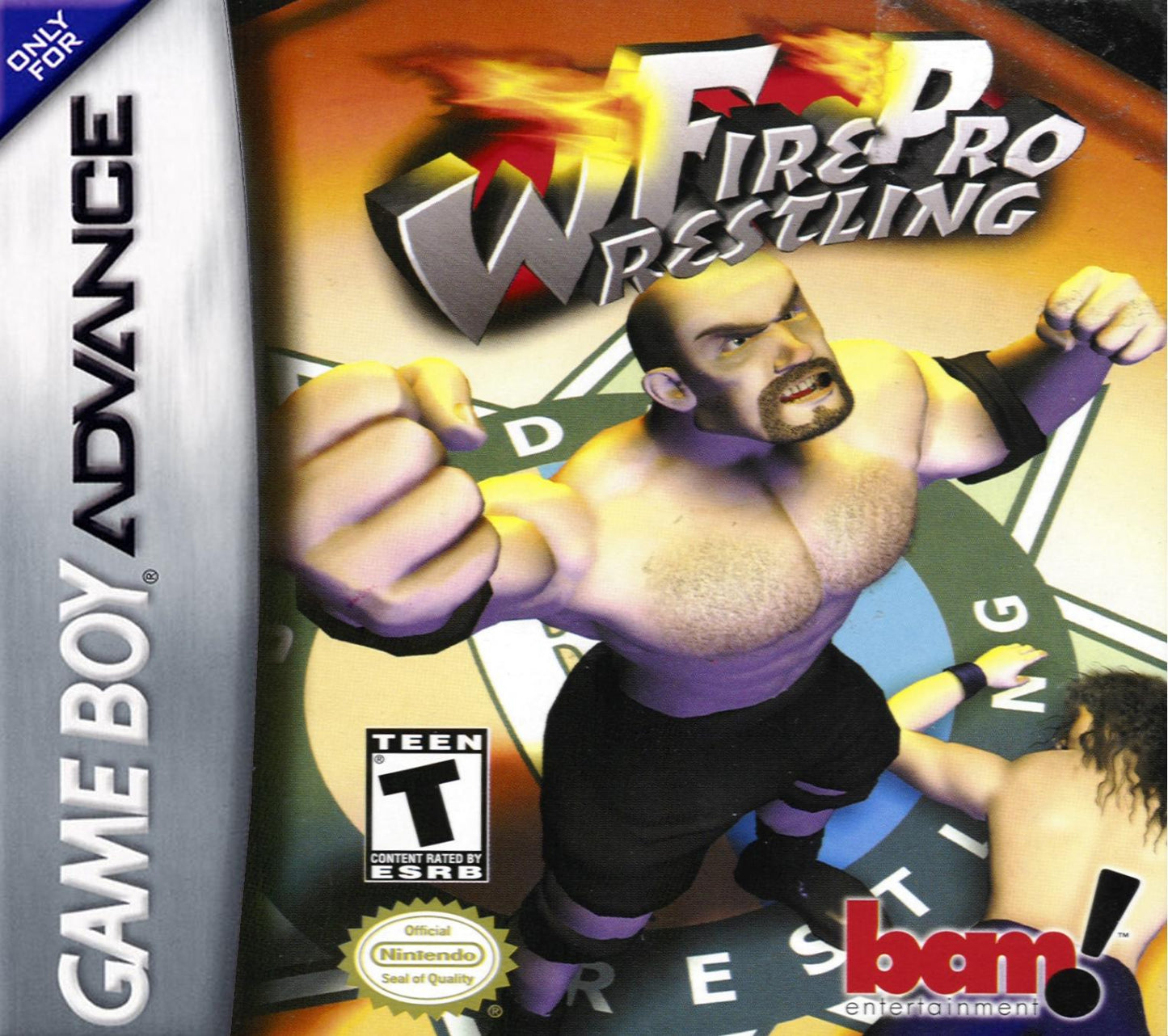 GBA FIRE PRO WRESTLING