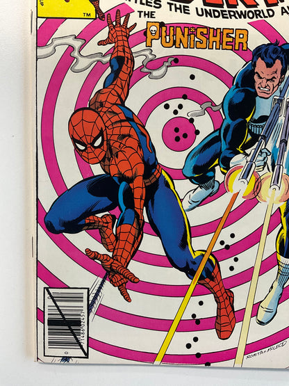 AMAZING SPIDER-MAN (1963) #201 VF- 7.5 PUNISHER