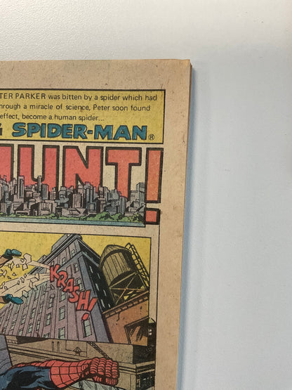 AMAZING SPIDER-MAN (1963) #201 VF- 7.5 PUNISHER