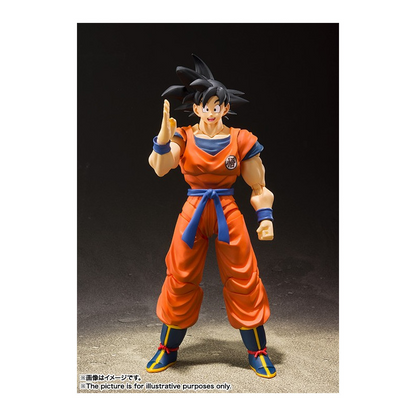 S.H.FIGUARTS SON GOKU A SAIYAN RAISED ON EARTH
