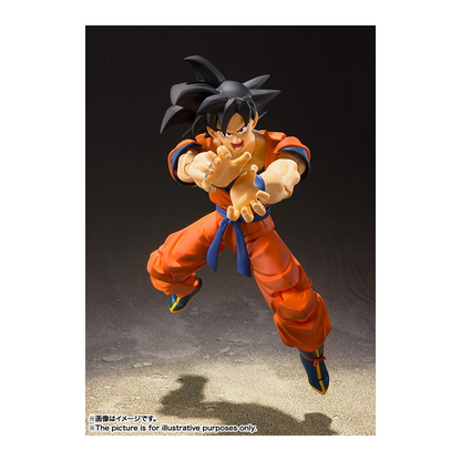 S.H.FIGUARTS SON GOKU A SAIYAN RAISED ON EARTH