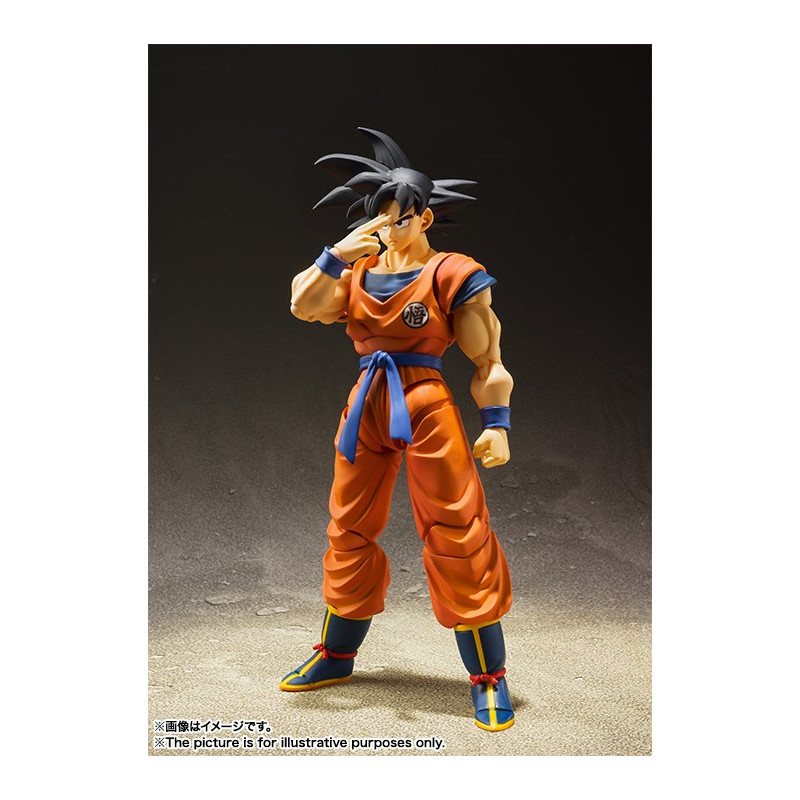 S.H.FIGUARTS SON GOKU A SAIYAN RAISED ON EARTH