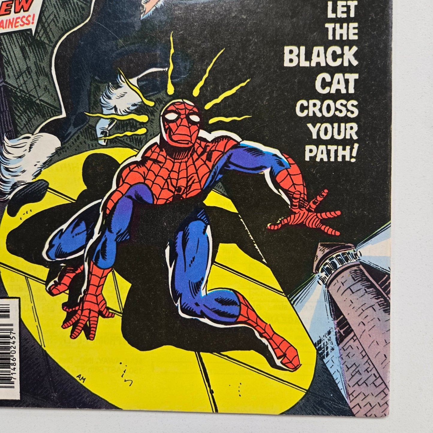 Amazing Spider - Man (1963) 194 VF 1st app. Of Black Cat - Infinite Collectibles