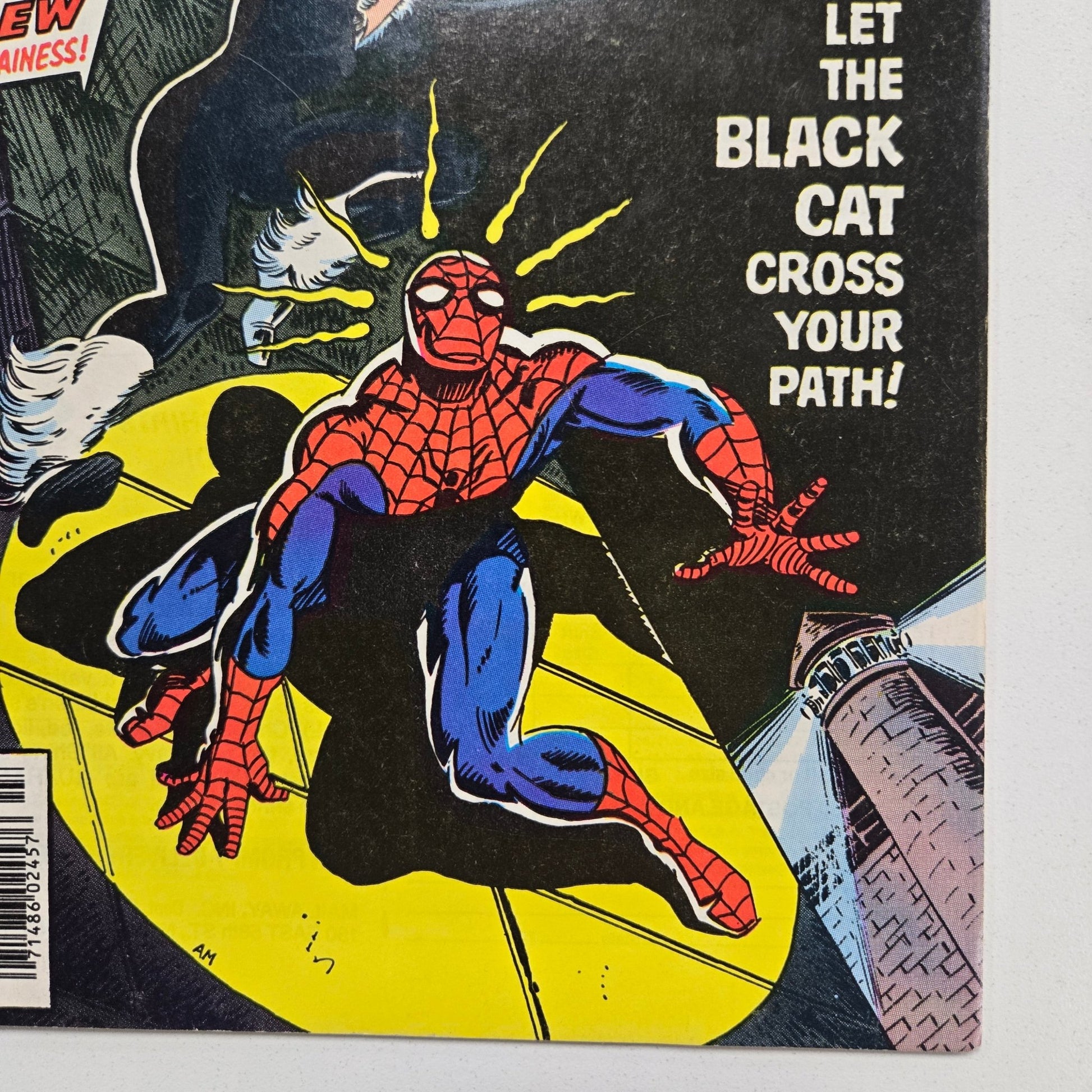 Amazing Spider - Man (1963) 194 VF 1st app. Of Black Cat - Infinite Collectibles