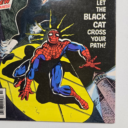 Amazing Spider - Man (1963) 194 VF 1st app. Of Black Cat - Infinite Collectibles