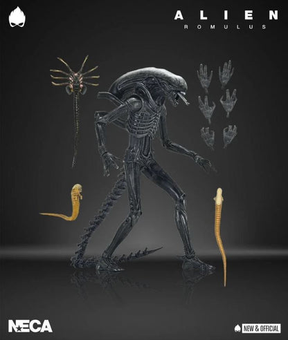 NECA ULTIMATE ALIEN ROMULUS XENOMORPH XX121