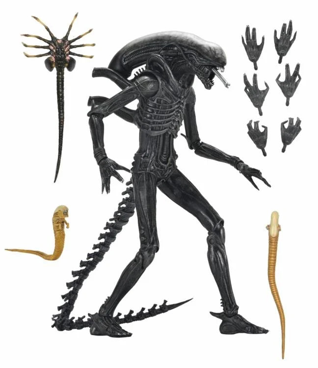 NECA ULTIMATE ALIEN ROMULUS XENOMORPH XX121