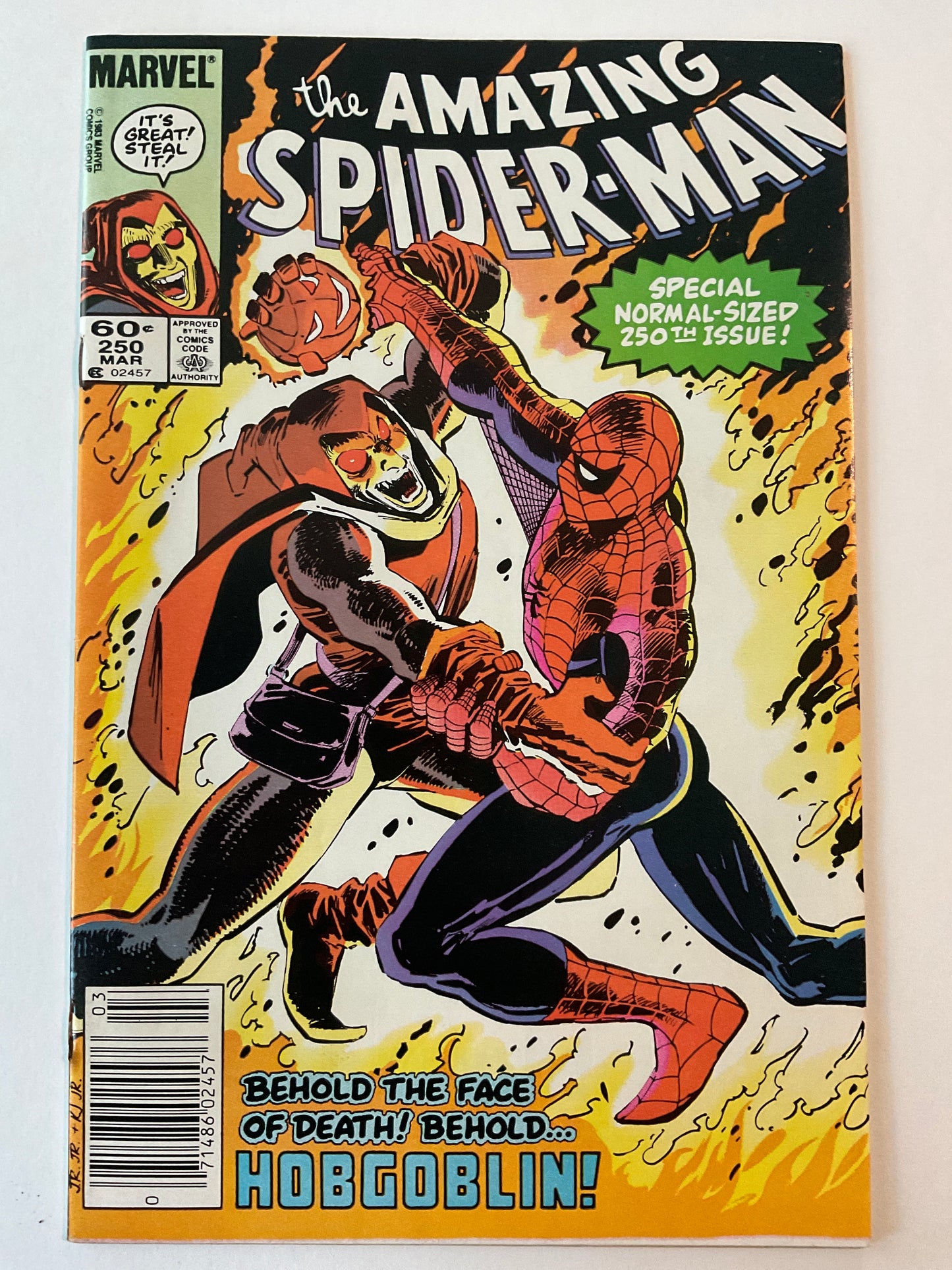 AMAZING SPIDER-MAN (1963) #250 VF/NM 9.0 CLASSIC HOBGOBLIN COVER
