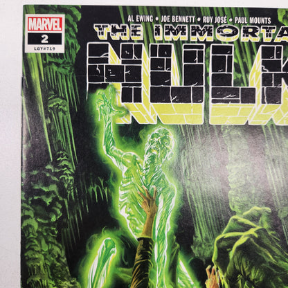 Immortal Hulk (2018) #02 VF 1st Doctor Frye