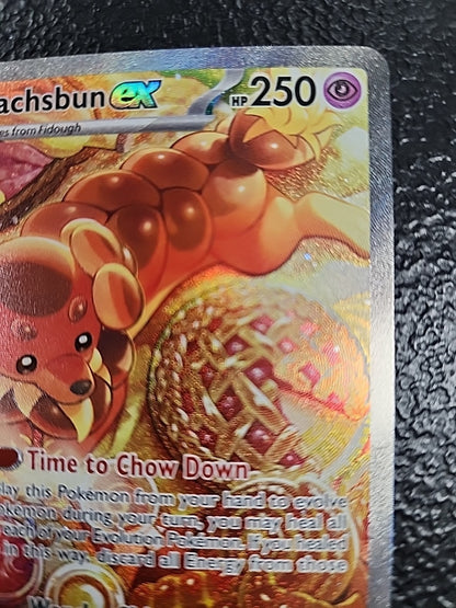Dachsbun EX 169/142 NM EN Pokémon SCR Stellar Crown Special Illustration Rare