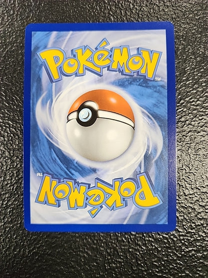 Dachsbun EX 169/142 NM EN Pokémon SCR Stellar Crown Special Illustration Rare