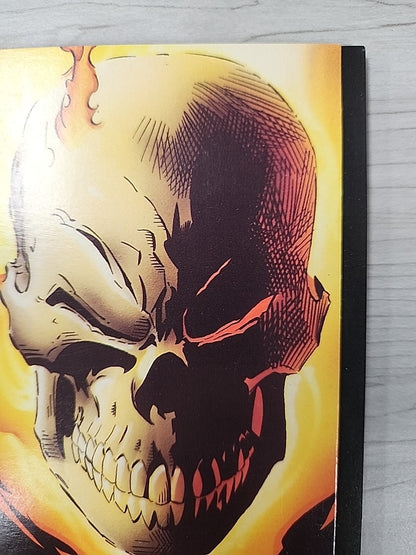 Ghost Rider, Wolverine, Punisher: The Dark Design